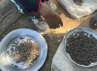 Seedballs: Enhancing Resilience in Northern Cameroon