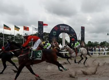 Pacuan Kuda Piala Raja HB X 2025 Bantul: 120 Kuda Adu Cepat Rebut Rp1 Miliar!