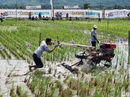 Seru! Balap Traktor di Imogiri Bantul: Adu Cepat Petani Muda?