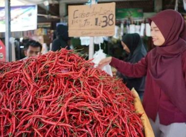 Cabai Merah Sleman 1 Ton Dijual Murah di Riau: Cek Harganya!