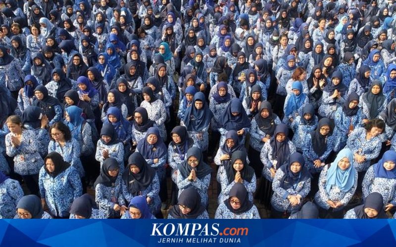 P3K Paruh Waktu: Solusi Harapan Ribuan Tenaga Honorer di Jambi Hadapi Ancaman PHK Massal
